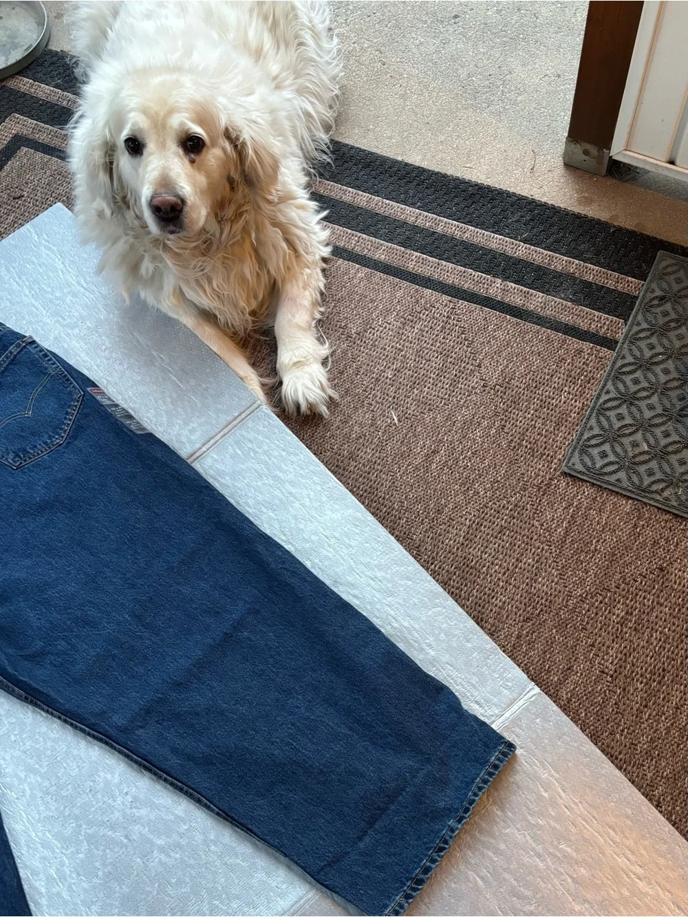 NWT Levi's 550’s with a 63W x 30L relaxed fit.
